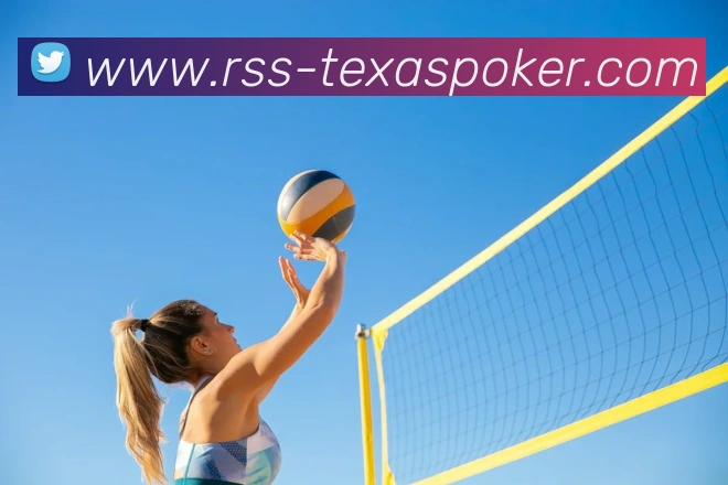 德州扑克平台生态图